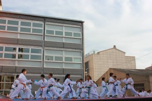 Ippon Kumite