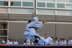 Bunkai Senior