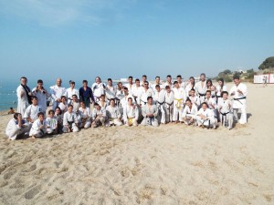 Stage karate 2015