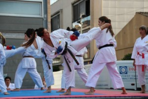 Trabajo de Kumite