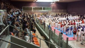 Pabellon