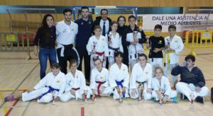 llica-campeones